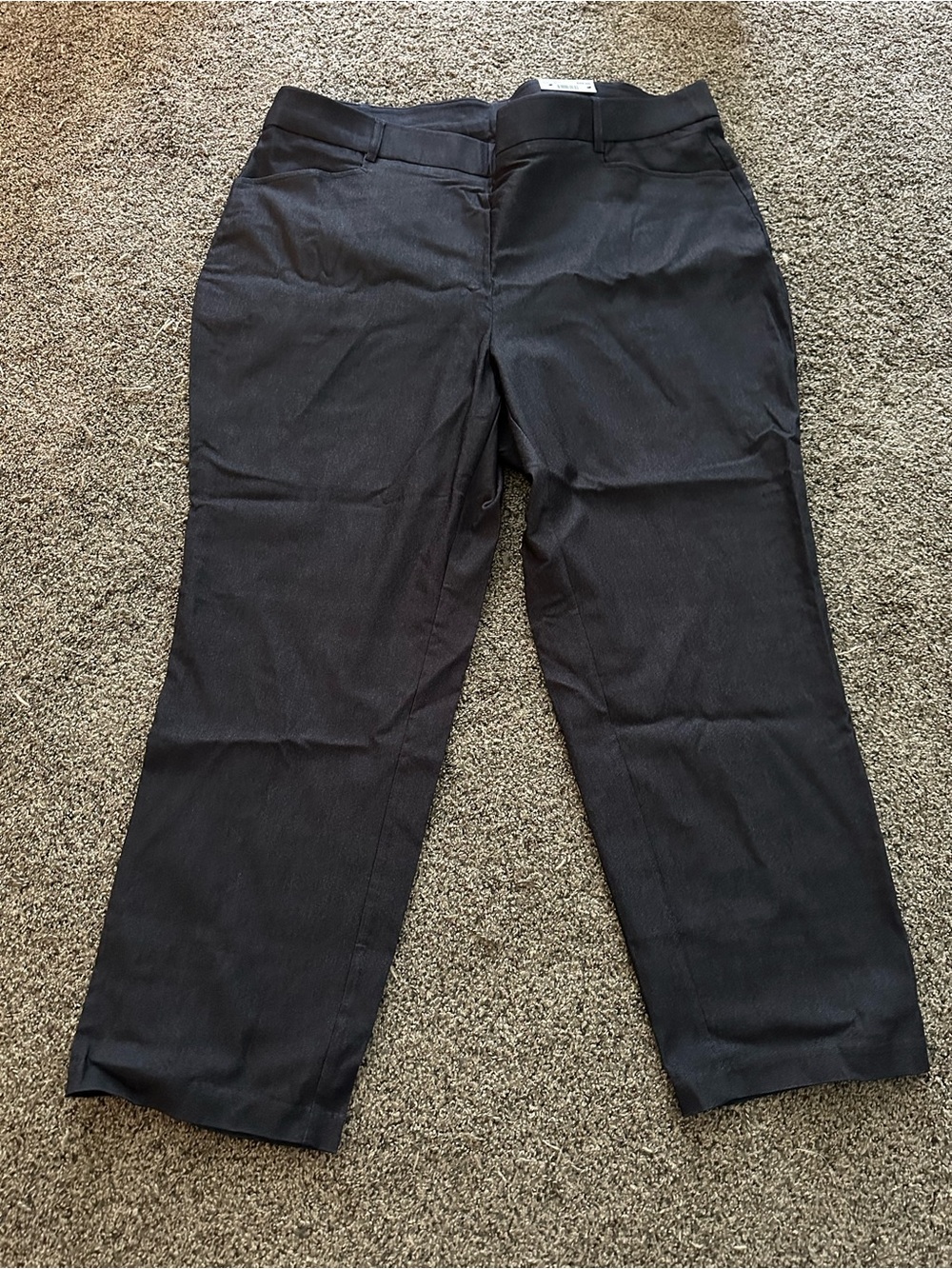 Women’s Plus Navy/Jean Stretch Dress Pants